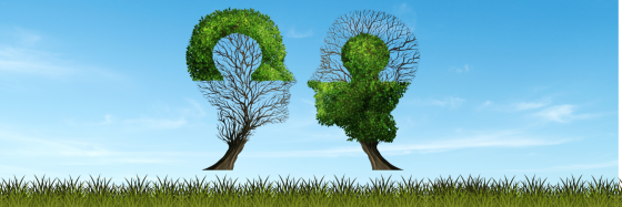trees that form puzzle pieces 